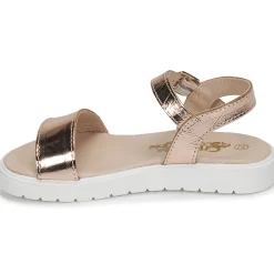 Best Citrouille et Compagnie - GAPOTI Bronze