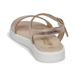 Best Citrouille et Compagnie - GAPOTI Bronze