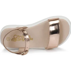 Best Citrouille et Compagnie - GAPOTI Bronze