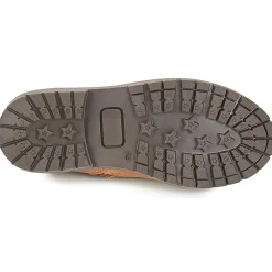 Citrouille et Compagnie - JODILAEM Cognac Best