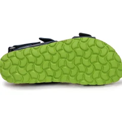 Citrouille et Compagnie - KELATU