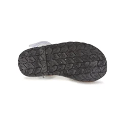 Citrouille et Compagnie - SQUOUBEL