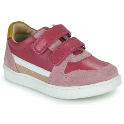 Citrouille et Compagnie - BETEIZ Violet Outlet