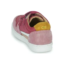 Citrouille et Compagnie - BETEIZ Violet Outlet