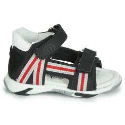 Citrouille et Compagnie - JATILETTE