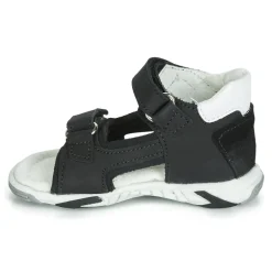 Citrouille et Compagnie - JATILETTE