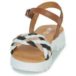 Citrouille et Compagnie - NASAKO