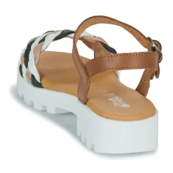 Citrouille et Compagnie - NASAKO