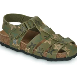 Citrouille et Compagnie - BAMBOCHE