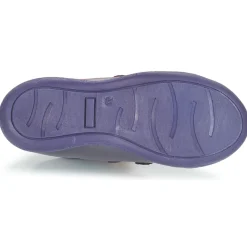 Citrouille et Compagnie - FALIE