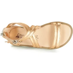 Citrouille et Compagnie - IMOURAT