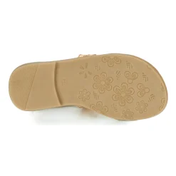 Citrouille et Compagnie - IMOURAT