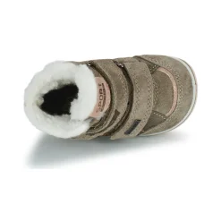 Citrouille et Compagnie - PALADIN