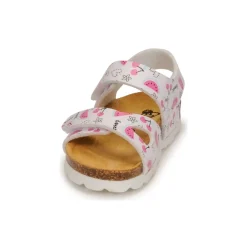 Citrouille et Compagnie - BELLI JOE