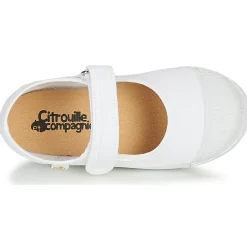 Discount Citrouille et Compagnie - APSUT Blanc