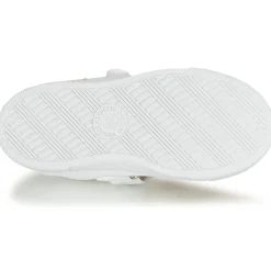 Discount Citrouille et Compagnie - APSUT Blanc