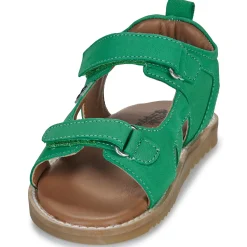 Citrouille et Compagnie - JOUPI