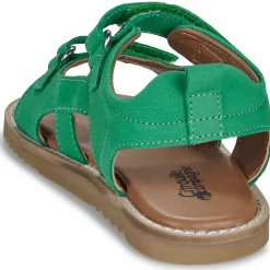 Citrouille et Compagnie - JOUPI