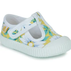 Citrouille et Compagnie - ALUNA