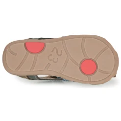 Citrouille et Compagnie - MARIOL Sale