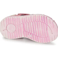 Citrouille et Compagnie - FRINOUI