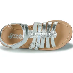 Citrouille et Compagnie - CIELETTE