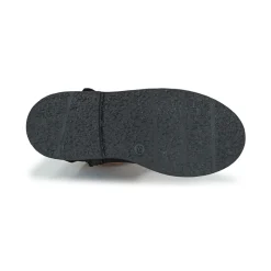 Citrouille et Compagnie - POUDRE