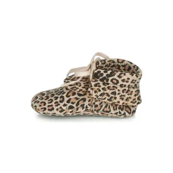 Citrouille et Compagnie - LILIFI