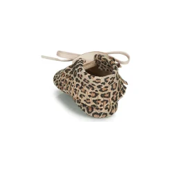 Citrouille et Compagnie - LILIFI