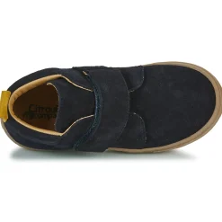 New Citrouille et Compagnie - FOJAMO Marine