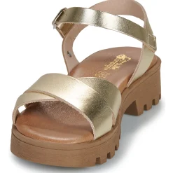 Best Citrouille et Compagnie - LILY Gold