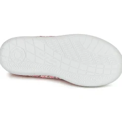 Citrouille et Compagnie - GLASSIA