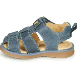 Citrouille et Compagnie - MARINO Marine Best