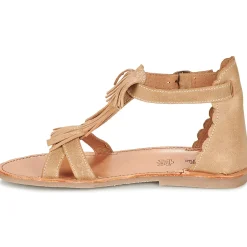 Citrouille et Compagnie - GAMELA