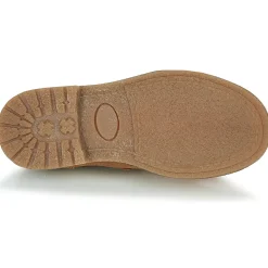 Hot Citrouille et Compagnie - LAPUPI Camel