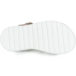 Citrouille et Compagnie - JIMINITE