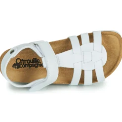 Citrouille et Compagnie - JANISOL