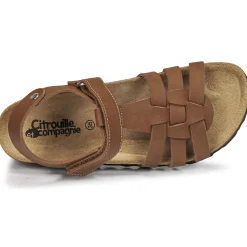 Online Citrouille et Compagnie - JANISOL Marron