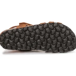 Online Citrouille et Compagnie - JANISOL Marron