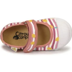 Citrouille et Compagnie - APSUT