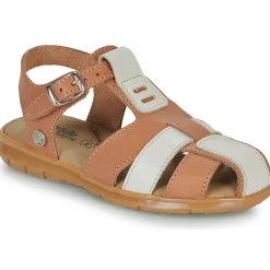 Citrouille et Compagnie - COCOLA