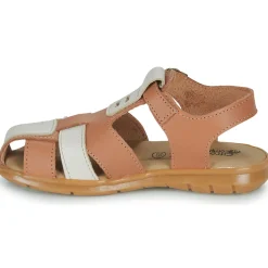 Citrouille et Compagnie - COCOLA