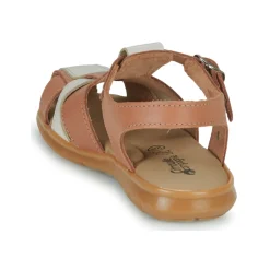 Citrouille et Compagnie - COCOLA