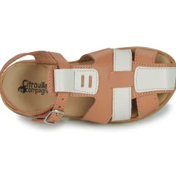 Citrouille et Compagnie - COCOLA