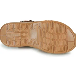 Citrouille et Compagnie - COCOLA