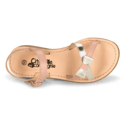 Outlet Citrouille et Compagnie - JISCOTTE