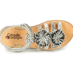 Citrouille et Compagnie - MALINETTE