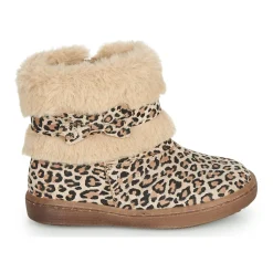 Citrouille et Compagnie - LILIFA Online