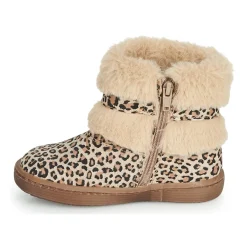 Citrouille et Compagnie - LILIFA Online