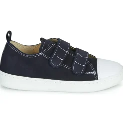 Citrouille et Compagnie - NADIR